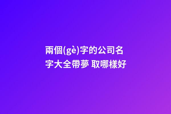 兩個(gè)字的公司名字大全帶夢 取哪樣好-第1張-公司起名-玄機(jī)派